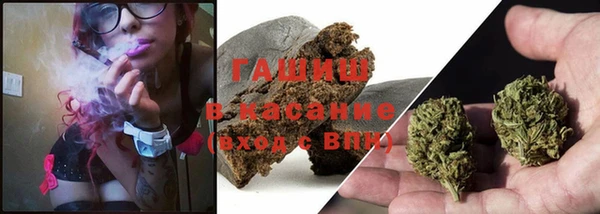 бошки Белокуриха