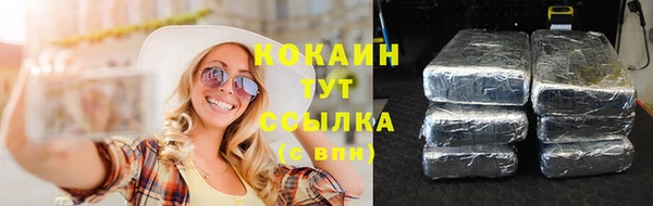 бошки Белокуриха