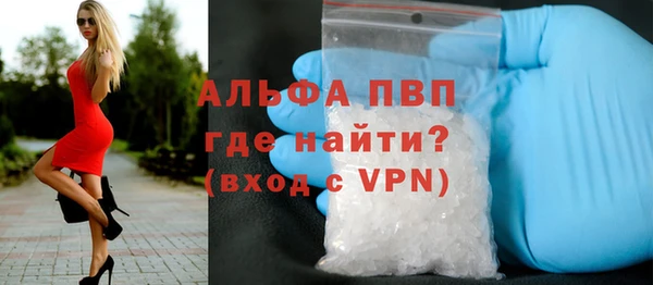бошки Белокуриха