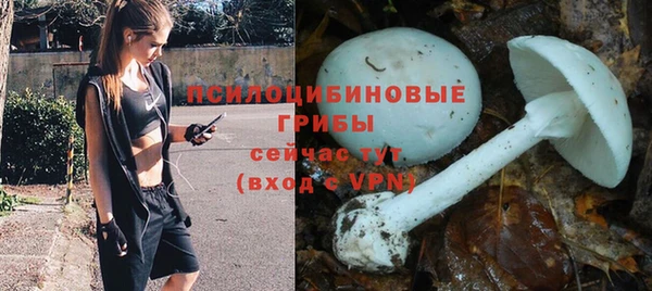 МДПВ Богородск