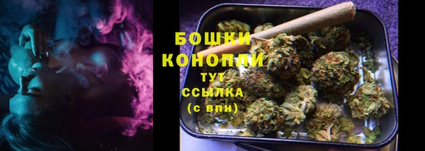 бошки Белокуриха